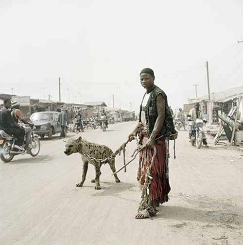 hyena2 The Nigerian Hyena Men   Do You Want a Good GuardDog ?
