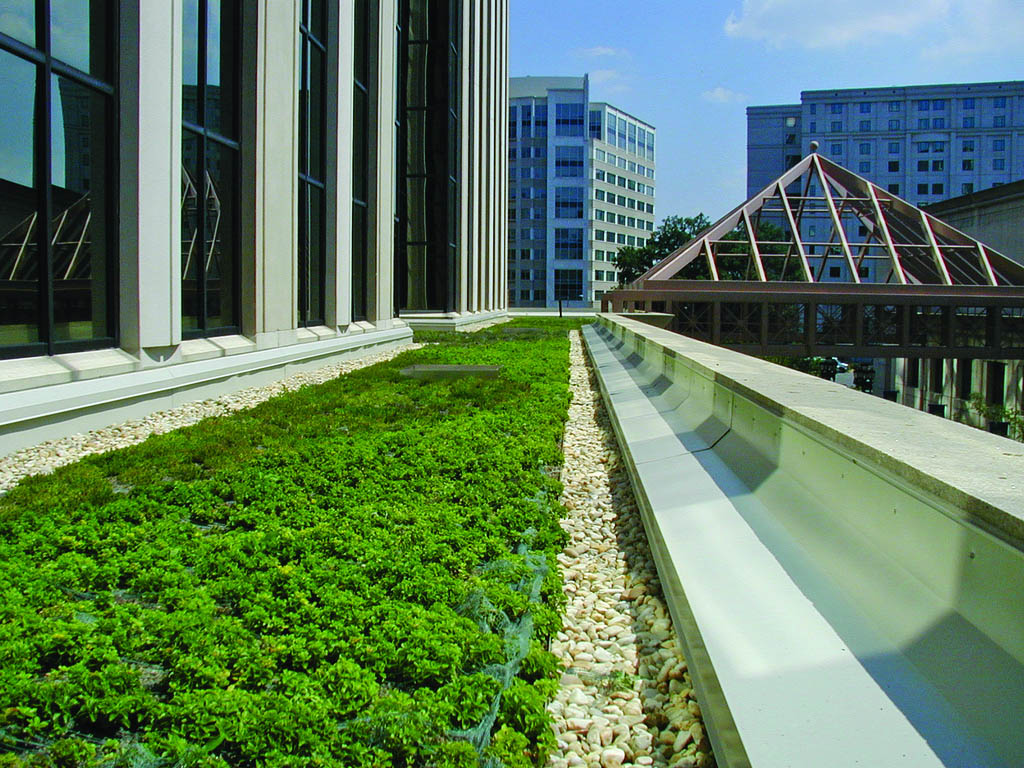 green roof1 Innovative Green Roofs for Healthy Cities