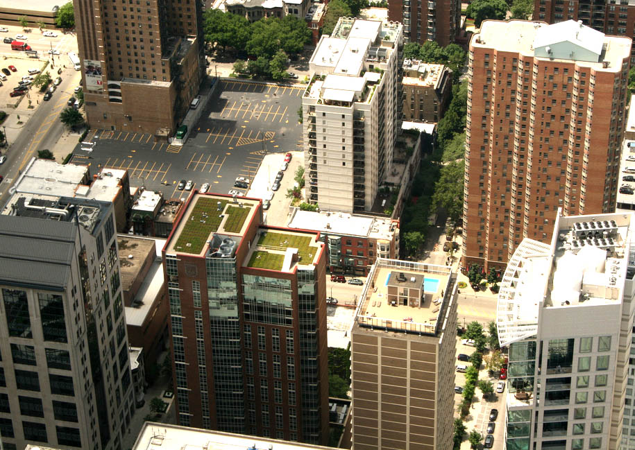 green roof10 Innovative Green Roofs for Healthy Cities