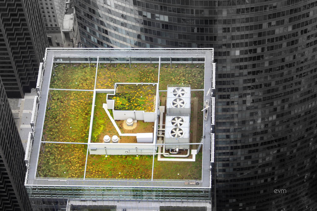 green roof2 Innovative Green Roofs for Healthy Cities