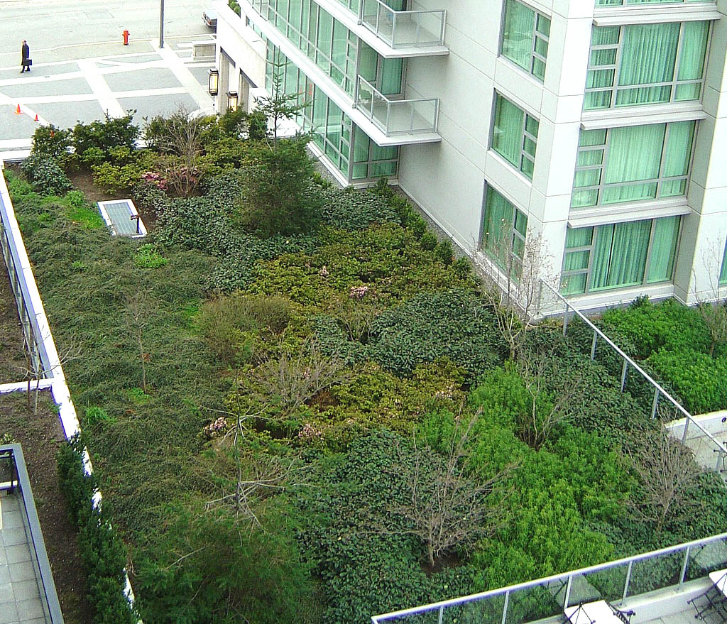 green roof8 Innovative Green Roofs for Healthy Cities