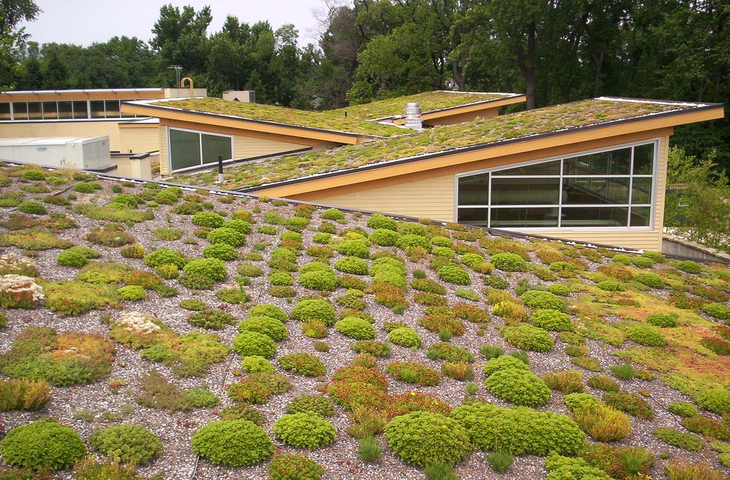 green roof9 Innovative Green Roofs for Healthy Cities