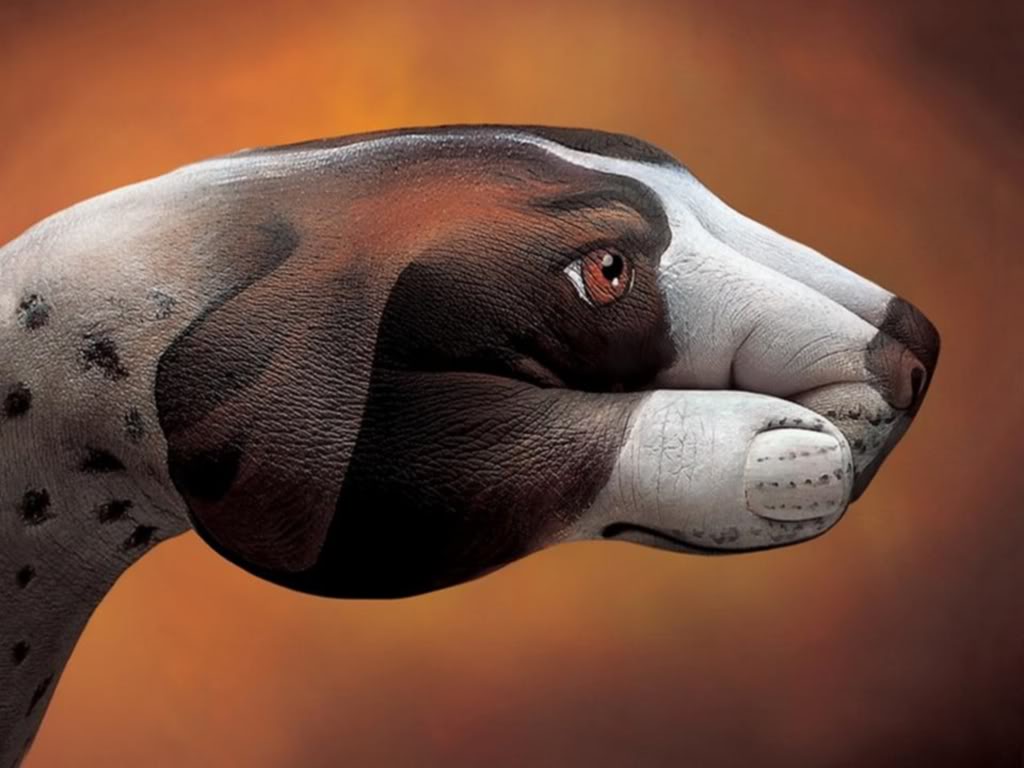 bodypainting1 Best Animal Hands Bodypainting