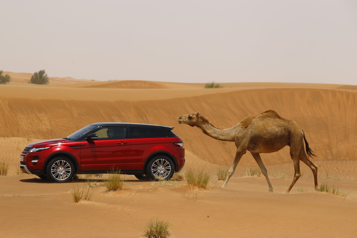 range rover evoque Welcome to Desert with Range Rover Evoque