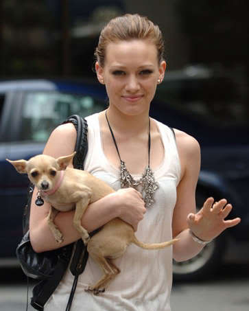 celebrity dog Female Celebrities and Their Dogs