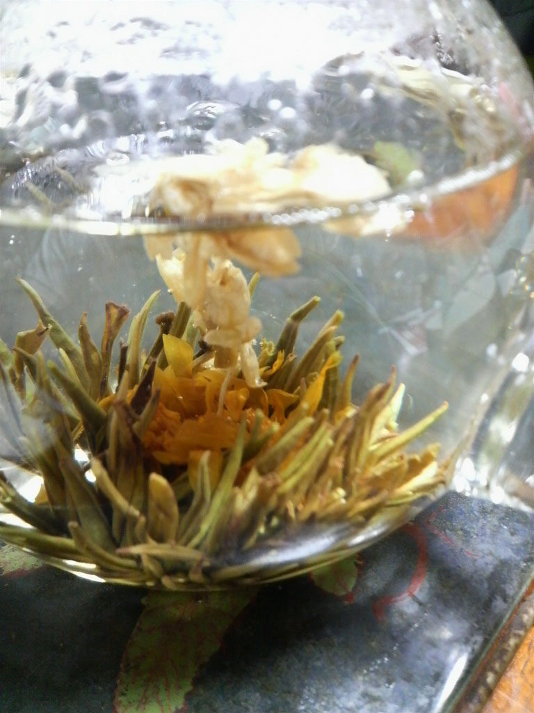 tea flower5 Quite Unusual Blooming Flower Tea