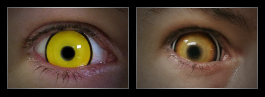 coloured contact lenses10 Fresh Look With Coloured Contact Lenses