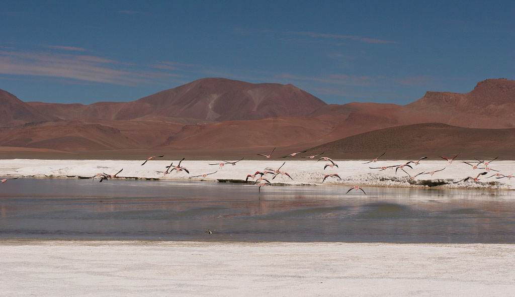 atacama18 The Atacama Desert   One of the Driest Places on Earth