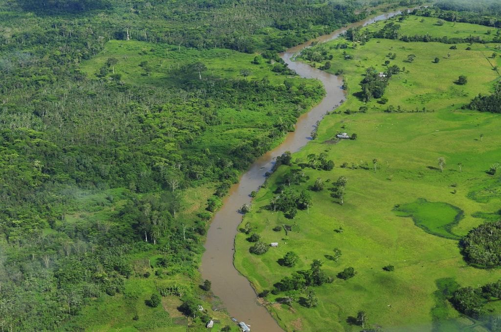 amazon rainforest3 Top Facts about Amazon Rainforest