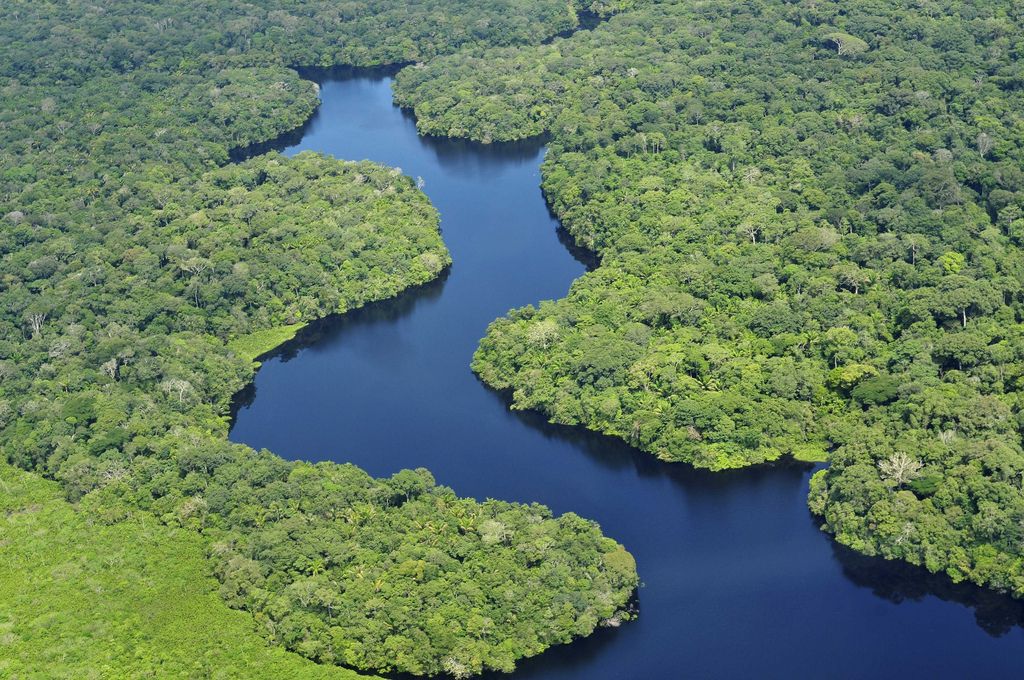 amazon rainforest4 Top Facts about Amazon Rainforest