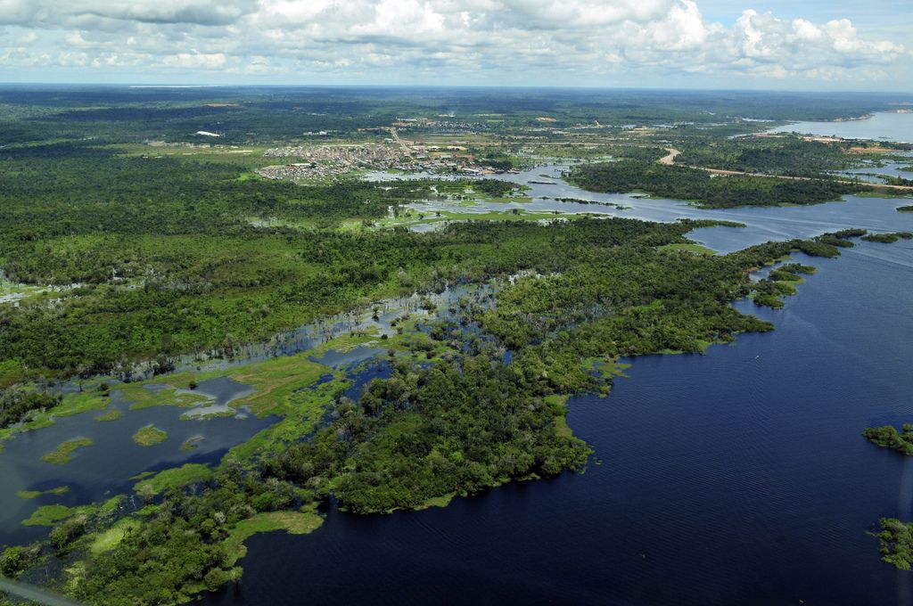 amazon rainforest5 Top Facts about Amazon Rainforest