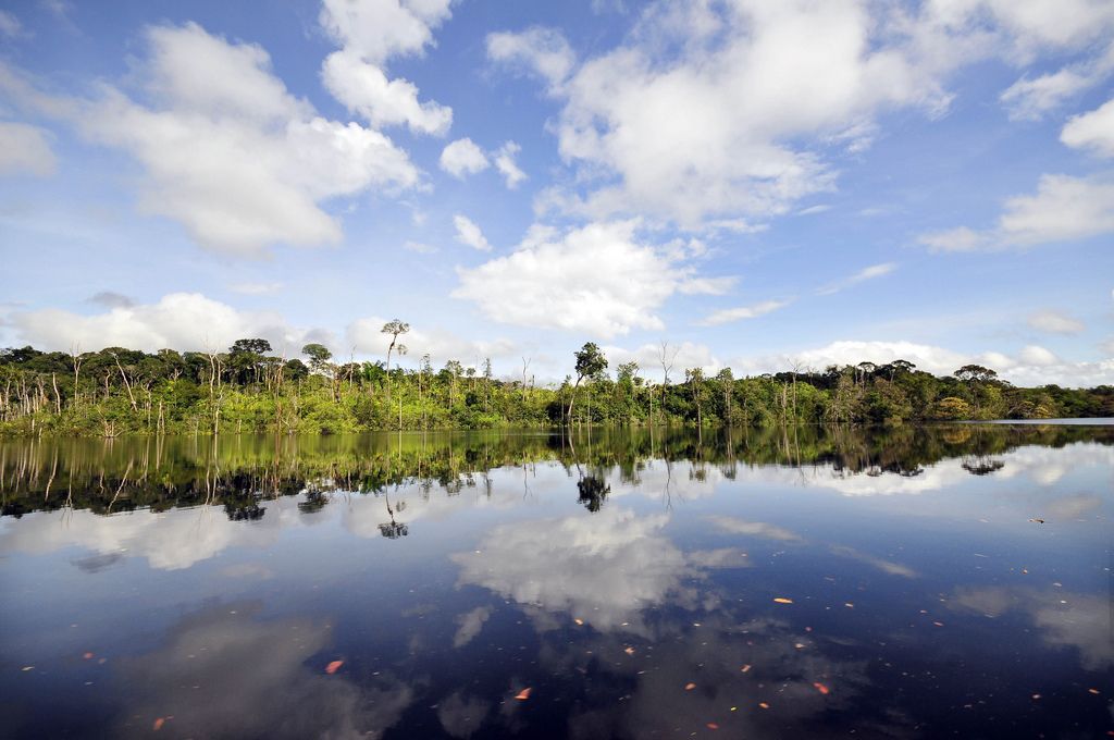 amazon rainforest9 Top Facts about Amazon Rainforest