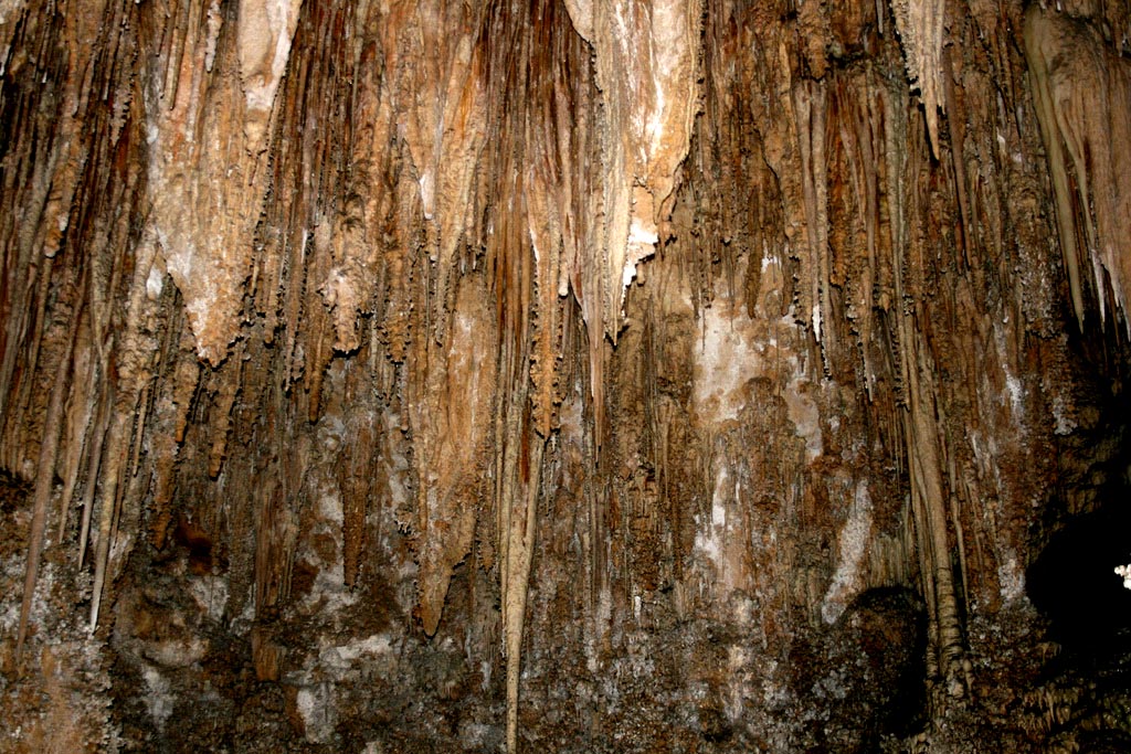 carlsbad caverns15 Visiting Carlsbad Caverns National Park, New Mexico