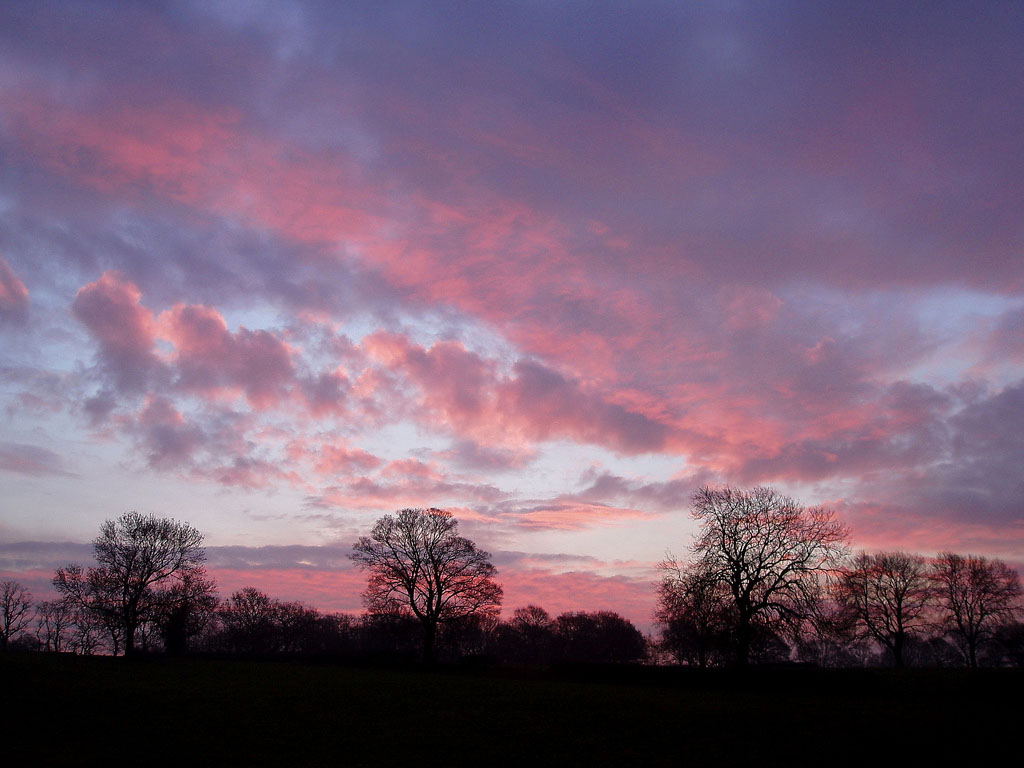 why-does-the-sky-looks-pink