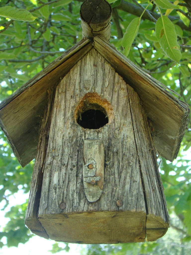 bird house17 Smarten Up Your Garden with Stylish Bird House