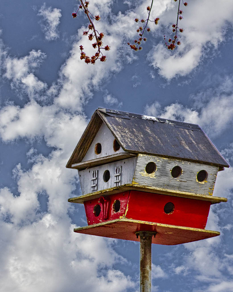 bird house4 Smarten Up Your Garden with Stylish Bird House