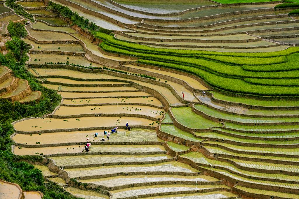 mu cang chai1 Amazing Place   Rice Terrace Fields in Mu Cang Chai, Vietnam