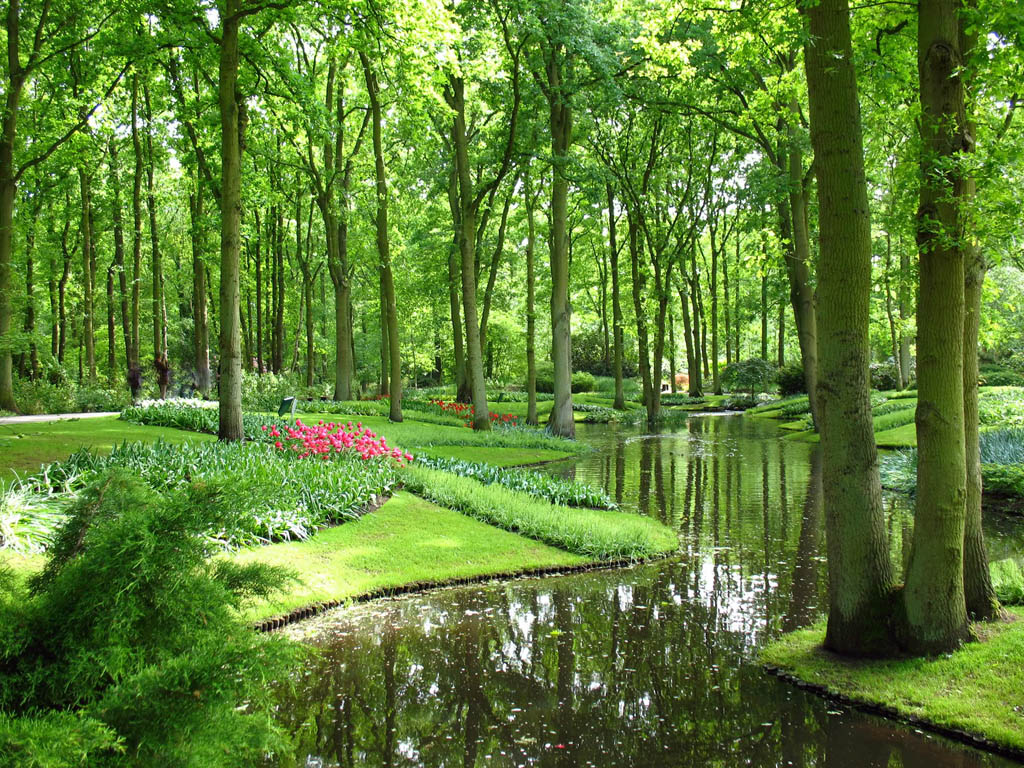 keukenhof9 Colorful Keukenhof Gardens in Netherlands