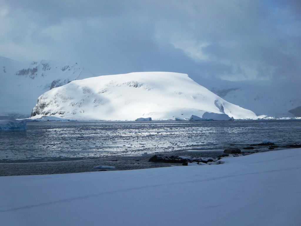 antarctica3 A Land of White   Cuverville Island, Antarctica by David Stanley