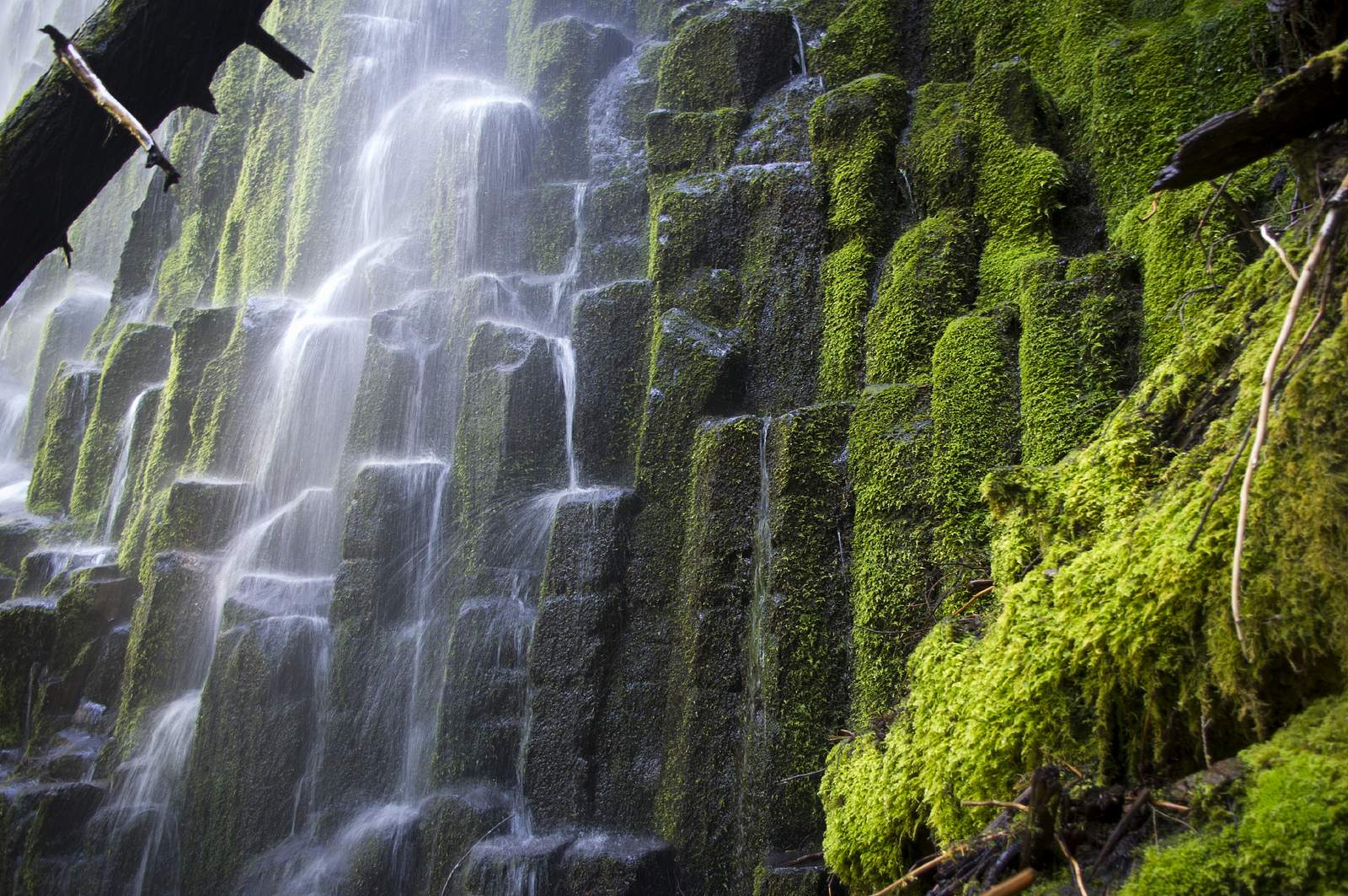 proxy falls Proxy Falls   Oregon Cascades