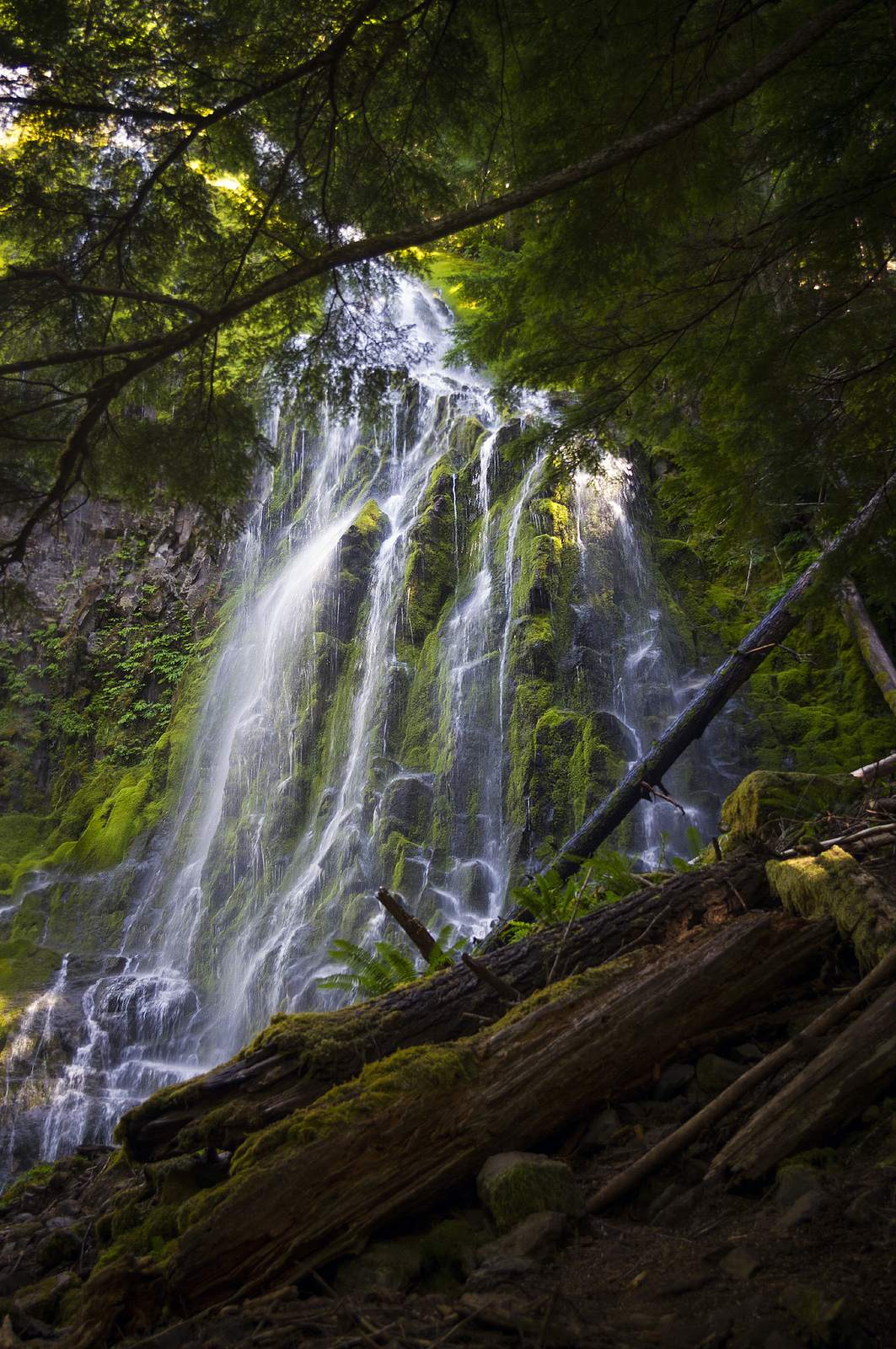 proxy falls2 Proxy Falls   Oregon Cascades