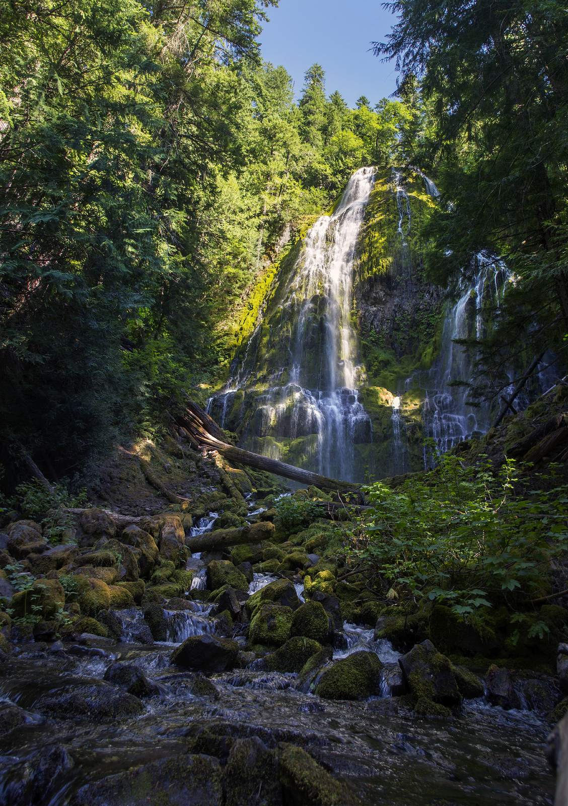proxy falls3 Proxy Falls   Oregon Cascades