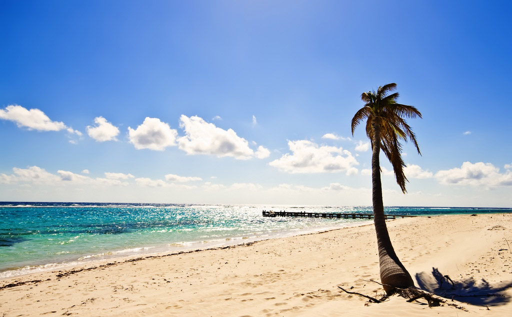 cayman islands Reasons to Visit Cayman Islands