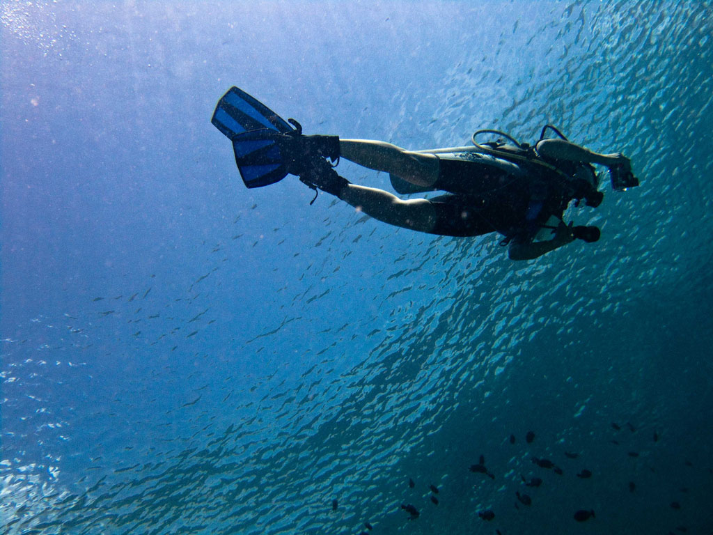 scuba diving17 Scuba Diving in Beatiful Waters of Indonesia