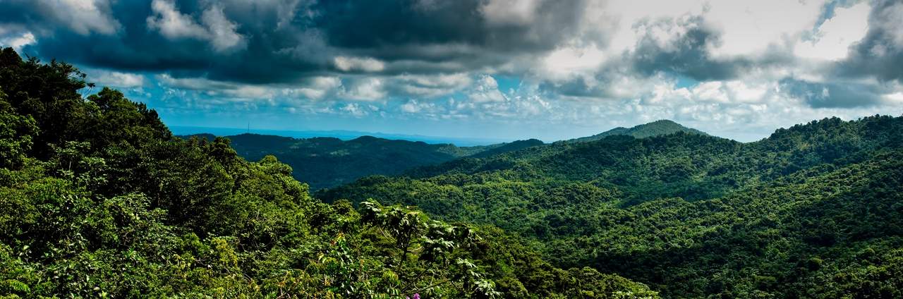puerto rico el yunque El Yunque Rain Forest in Puerto Rico