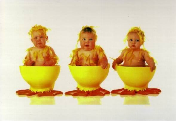 anne geddes babies5 Babies Come as Three Angels by Anne Geddes