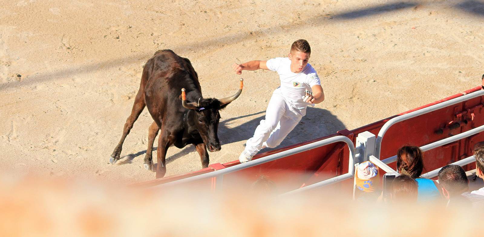 arles1 Bull Fighting in Arles Arena