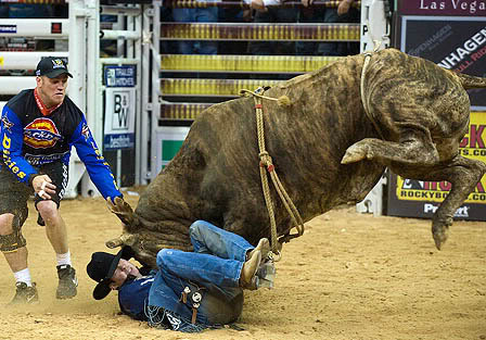 bull riding Little Boy Dreams About Pro Bull Rider