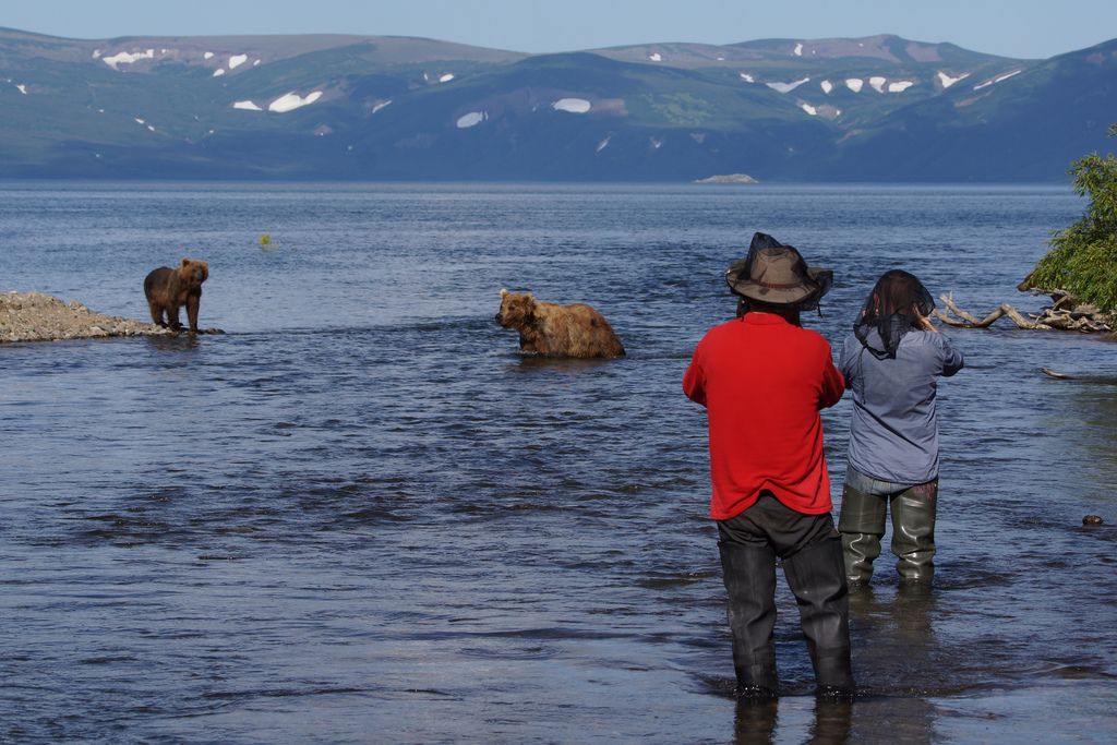 brown bear10 Bear Fishing Near Kurilskoye Lake in Kamchatka