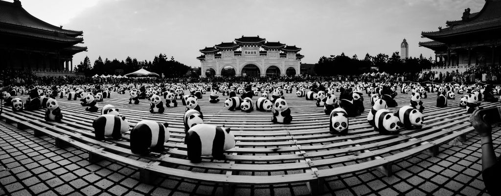 panda world tour1 Paper Pandas at Panda World Tour in Taipei
