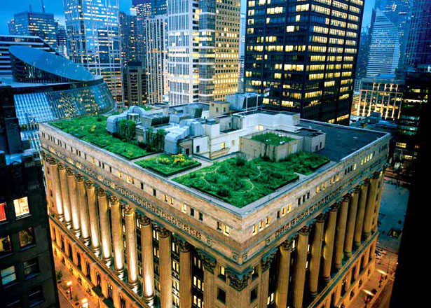 green roof Innovative Green Roofs for Healthy Cities