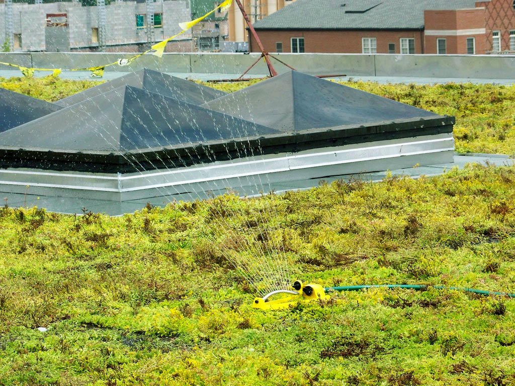 green roof7 Innovative Green Roofs for Healthy Cities