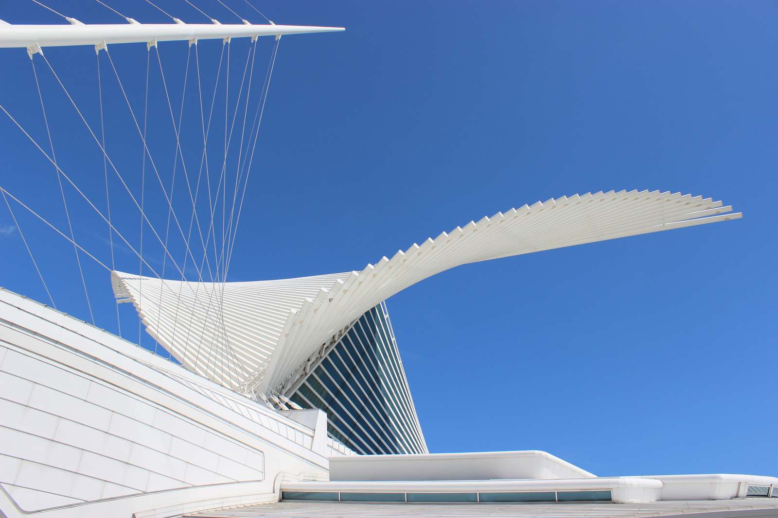milwaukee art museum2 Modern Milwaukee Art Museum by Santiago Calatrava