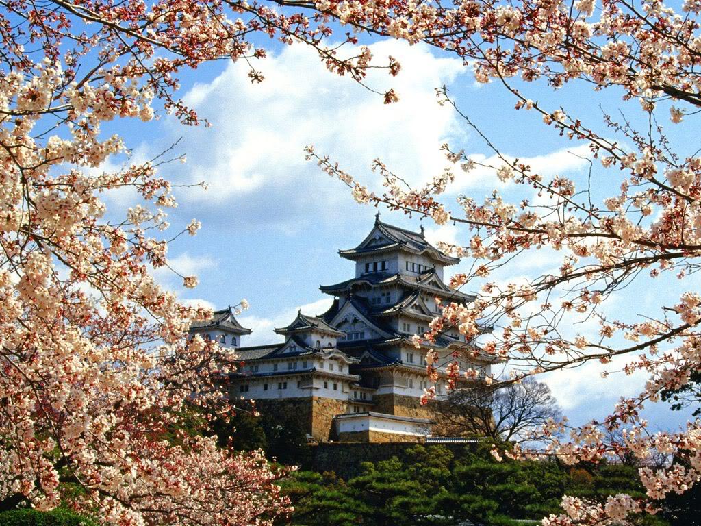 himeji castle13 Most Impressive Castles of the World   Himeji