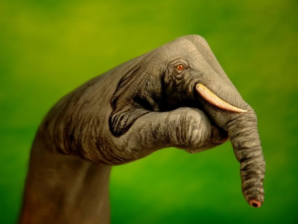 bodypainting3 Best Animal Hands Bodypainting