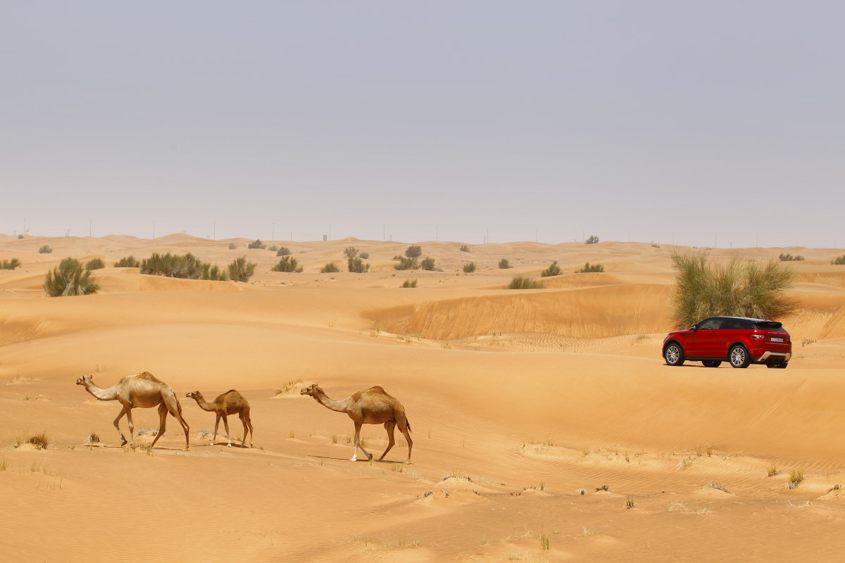 range rover evoque12 Welcome to Desert with Range Rover Evoque