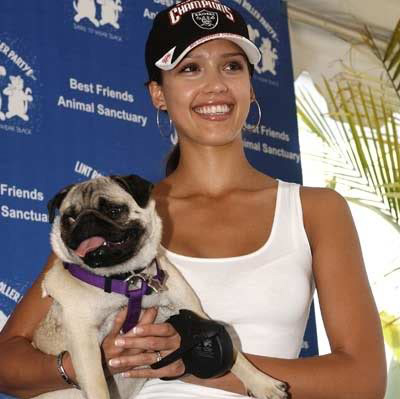 celebrity dog10 Female Celebrities and Their Dogs