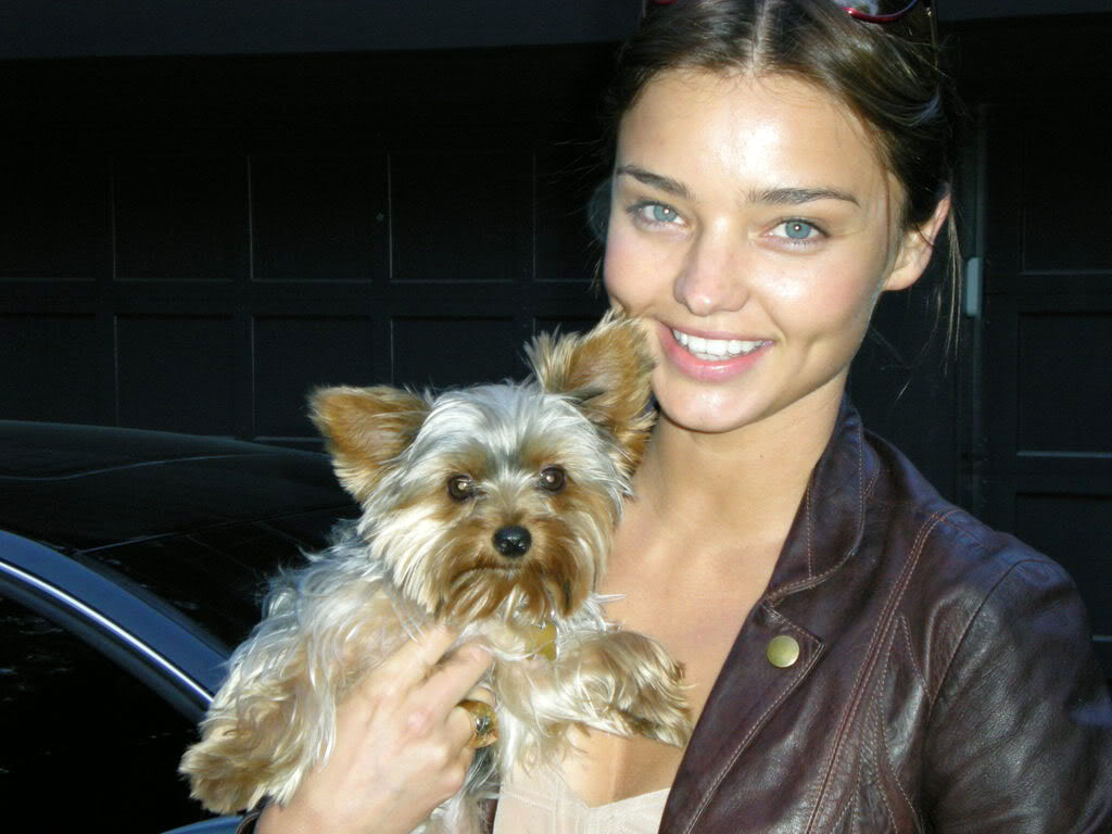 celebrity dog2 Female Celebrities and Their Dogs