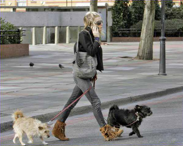 celebrity dog4 Female Celebrities and Their Dogs