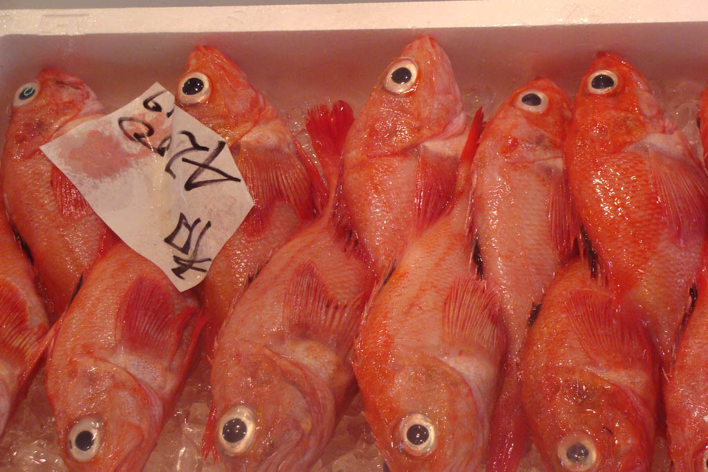 tsukiji market10 Biggest Wholesale Fish and Seafood Market