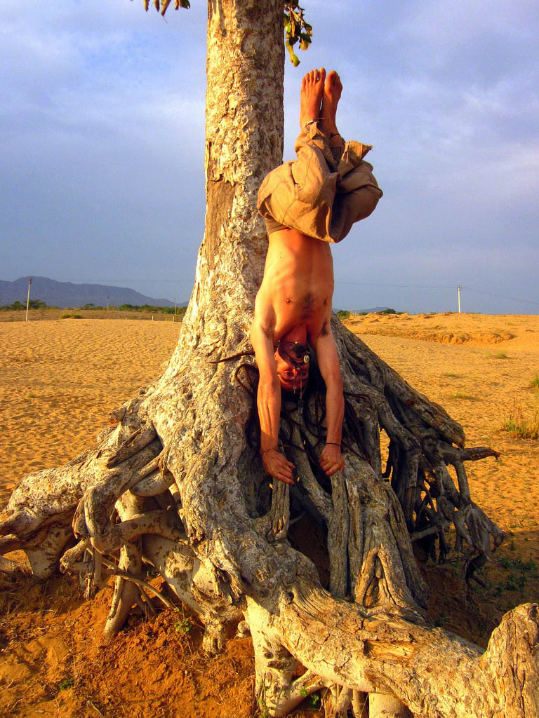 yoga poses3 Desert Yoga Exercise