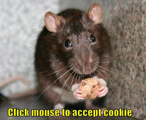 funny mouse8 Funny Mouse Pictures