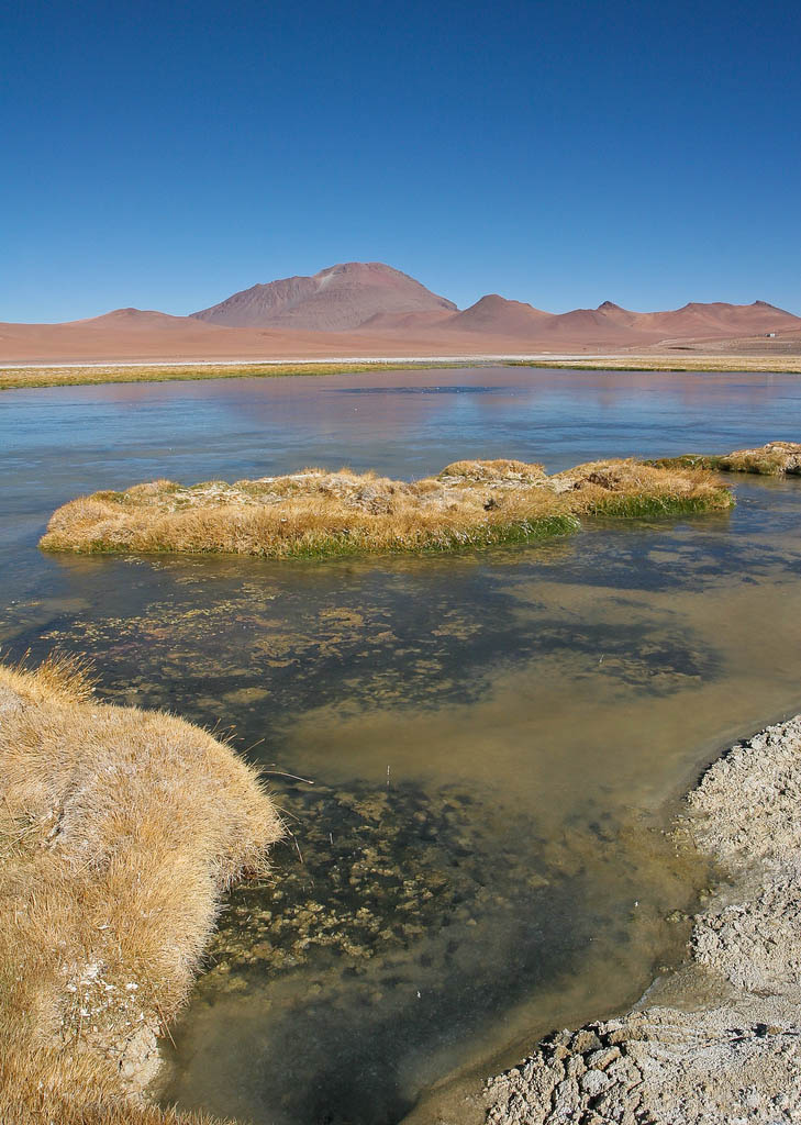 atacama6 The Atacama Desert   One of the Driest Places on Earth