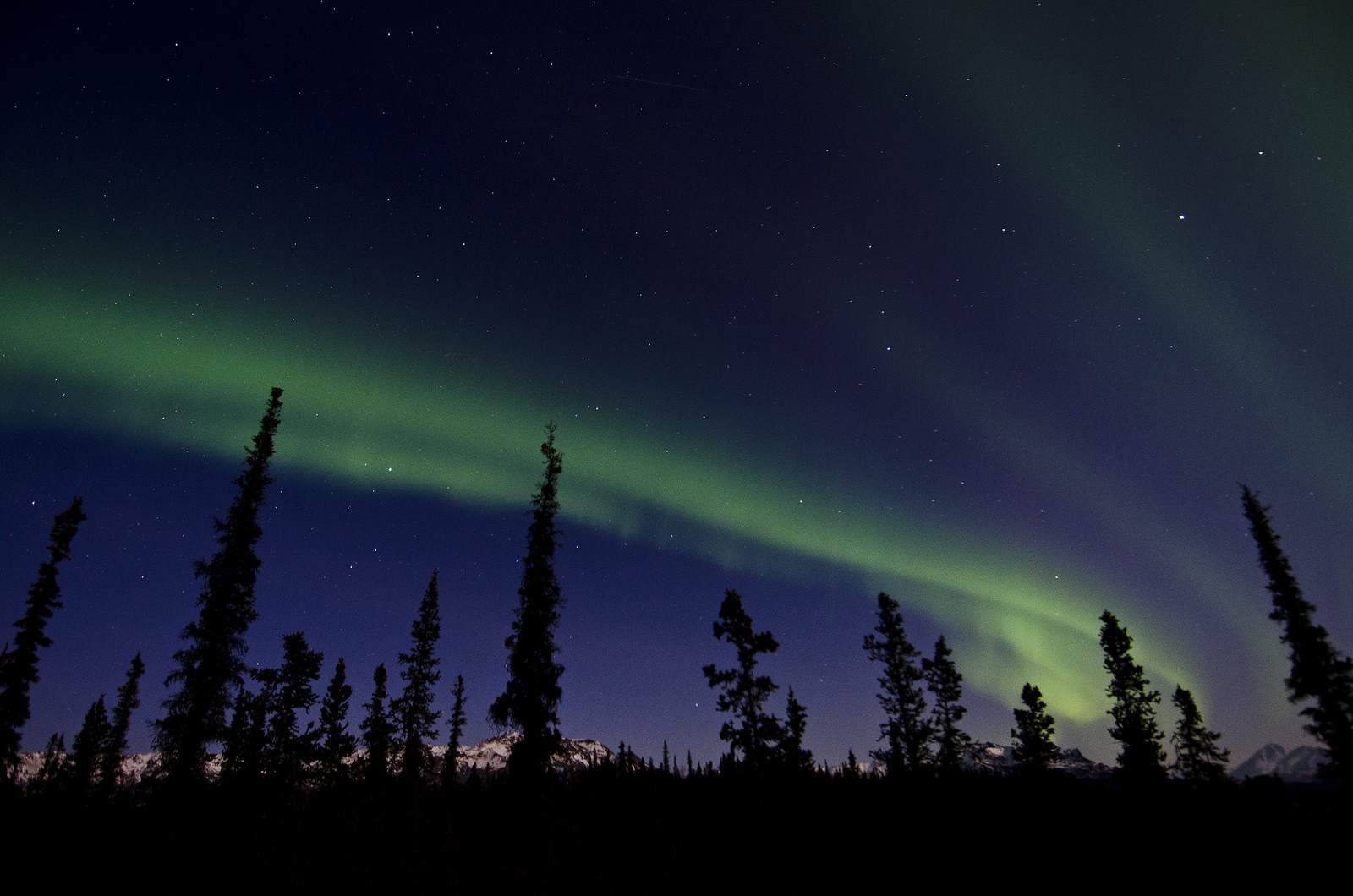 aurora borealis Aurora over Denali National Park and Preserve
