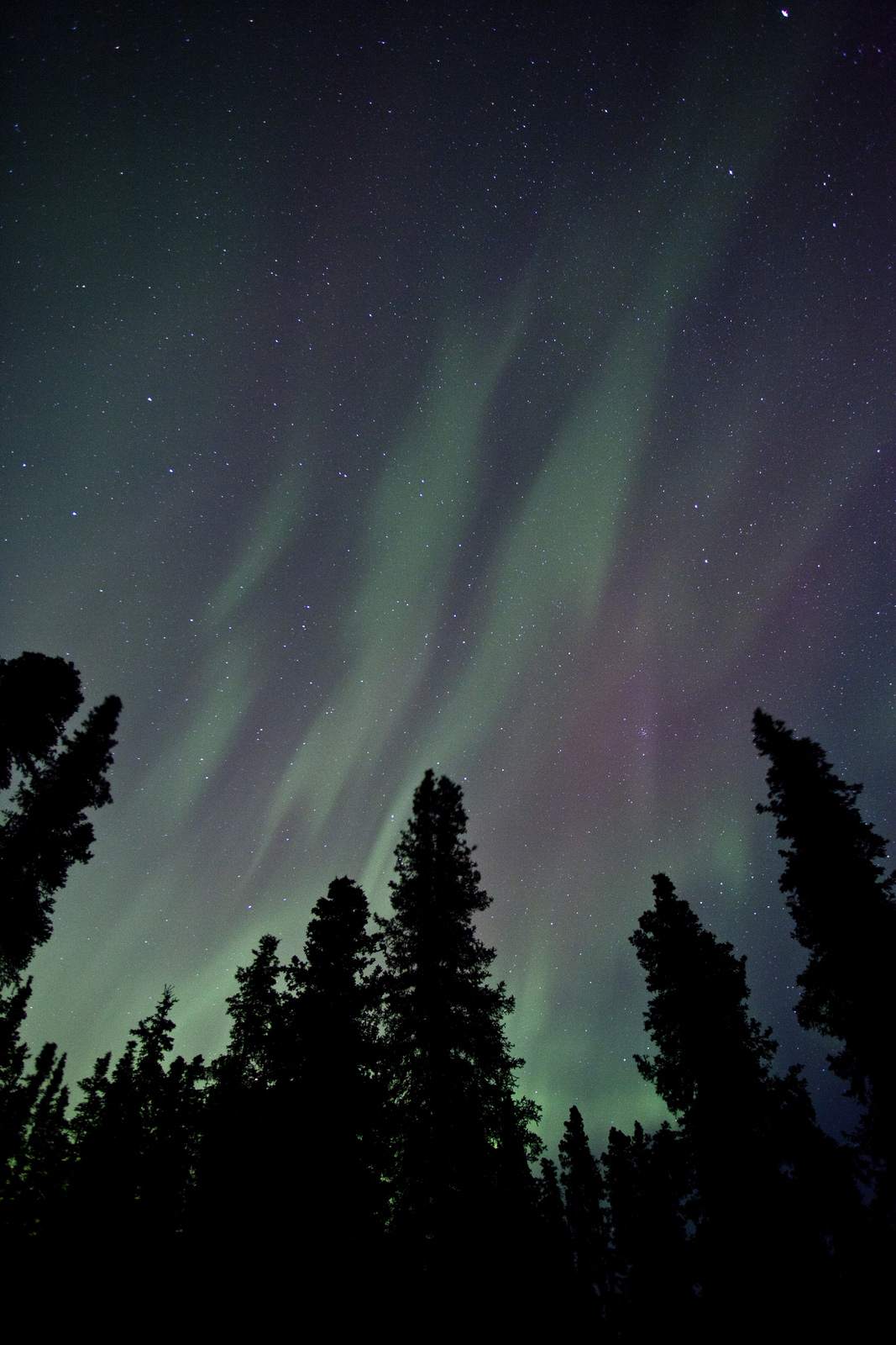 aurora borealis1 Aurora over Denali National Park and Preserve