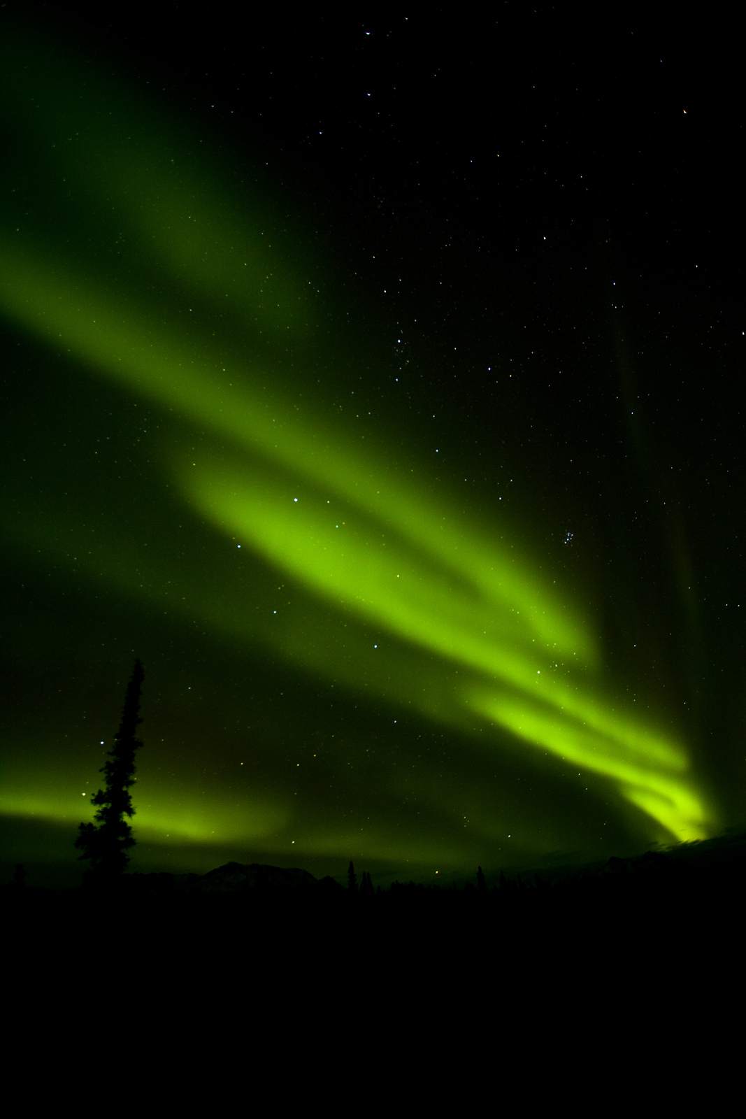 aurora borealis3 Aurora over Denali National Park and Preserve
